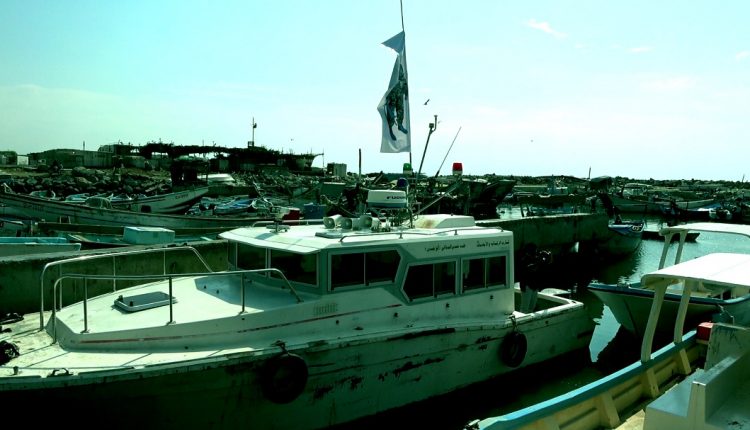 IMG-20221229-WA0087