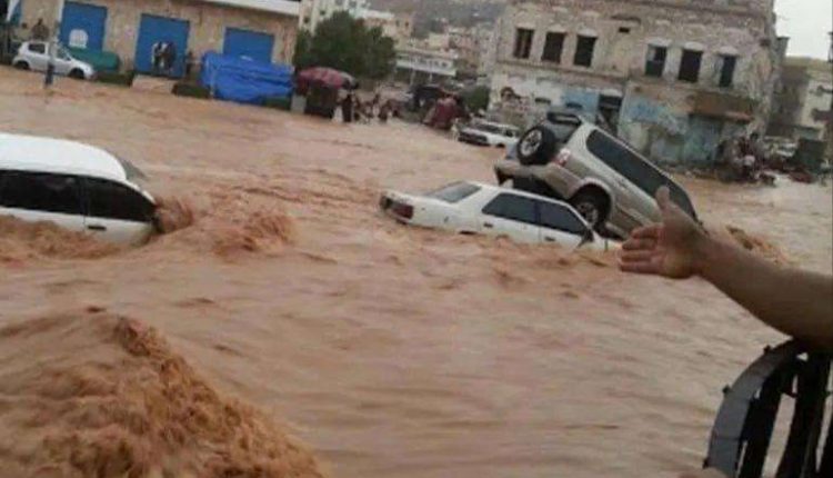 photo_٢٠٢٥-٠٨-٢٤_١٨-٤١-٣٢