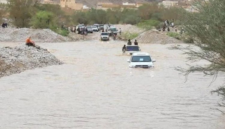 التقاط2