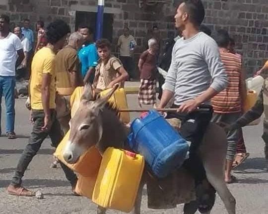 الحمير-في-عدن-التحالف-المياه-الانتقالي-0–540×580
