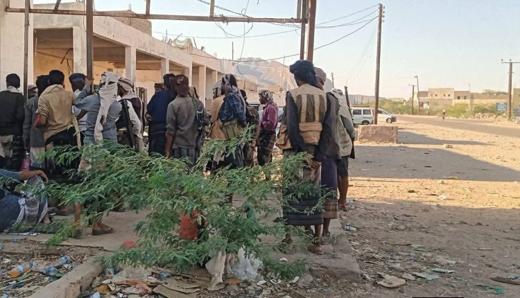 قبائل-لقموش-شبوة